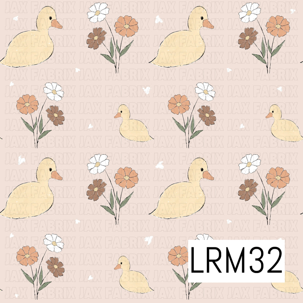 Baby Ducks & Dasies