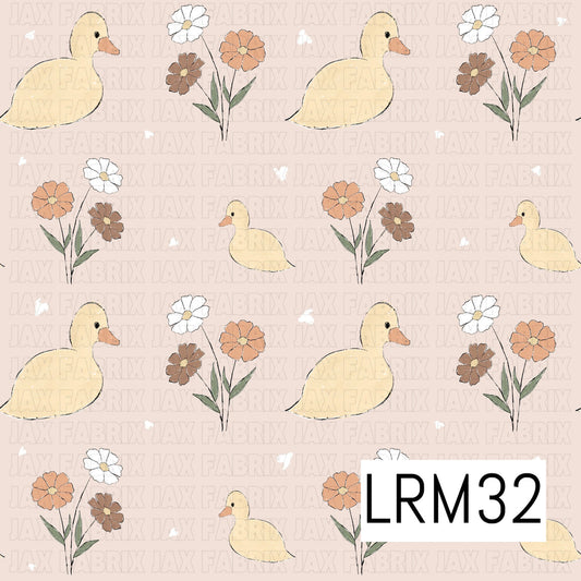 Baby Ducks & Dasies